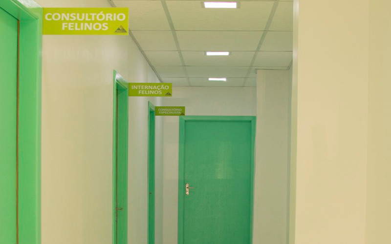 clinica (17)